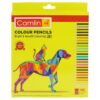 Camel Colour Pencil 24S